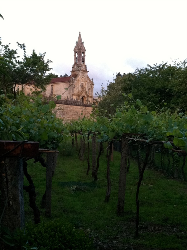 Church and Vines in Gondomar, Spain